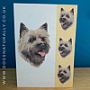 Cairn Terrier Card Simply Elegant Range
